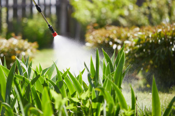 Tamper-Resistant Bait Stations for Rodents in Town Creek