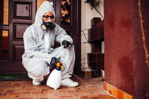 Attic and Crawl Space Rodent Treatment in Town Creek
